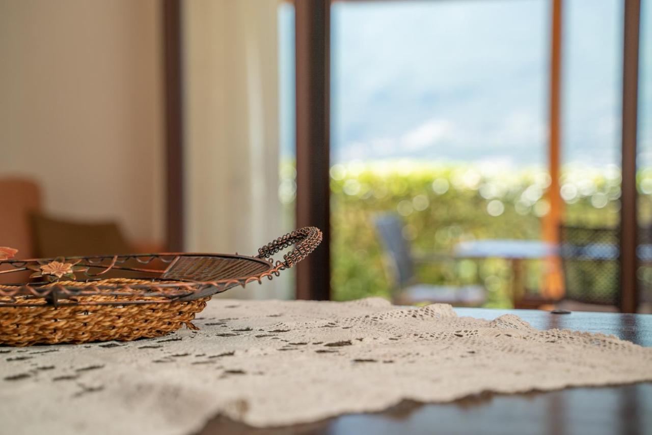 Melissi Villa ヴァシリキ エクステリア 写真